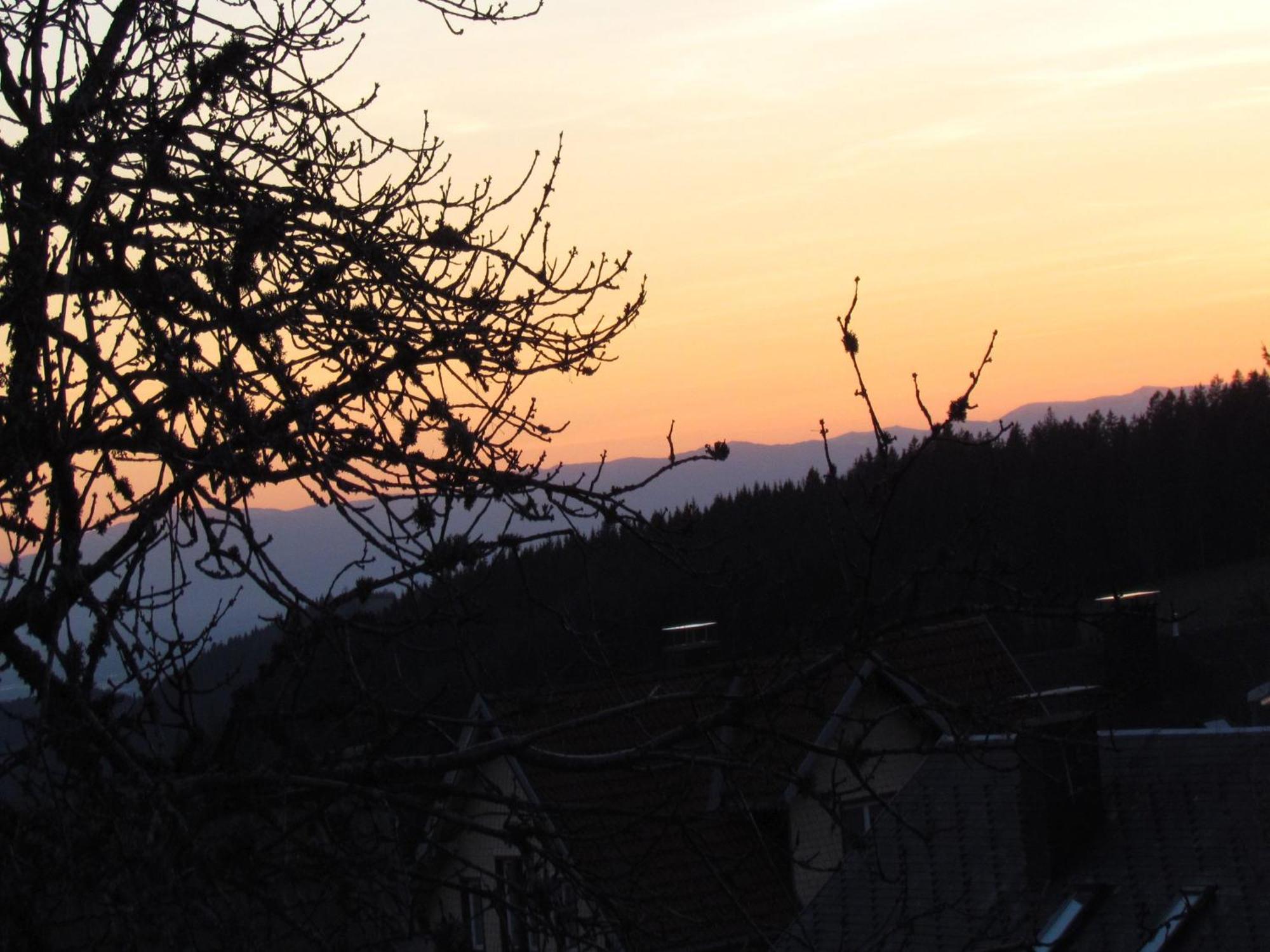 Appartamento Hirschenhaeusle Sankt Märgen Esterno foto